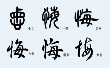我真后悔作文500字8篇
