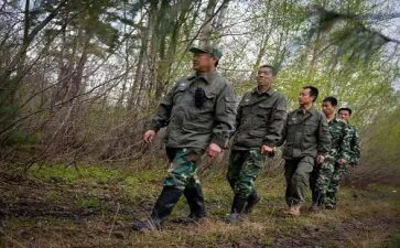 2024年生态护林员工作总结8篇