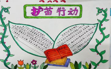 2024年护苗在行动心得体会模板6篇