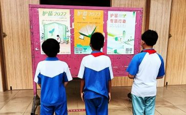 护苗行动2024心得参考5篇