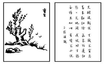 保护生态文明建设心得体会7篇