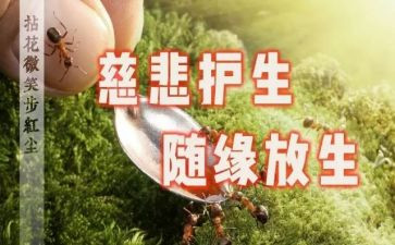 护生态活动总结8篇