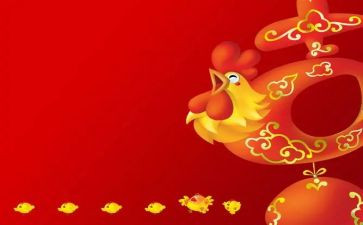 小公鸡中班教案5篇