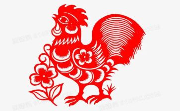 有关鸡的科学教案推荐5篇