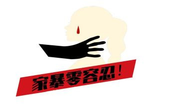 家暴情况总结报告8篇