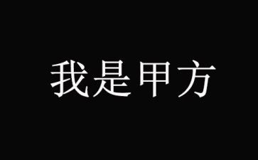 去甲方工作总结8篇