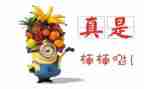 2024年个人嘉奖事迹材料优秀6篇
