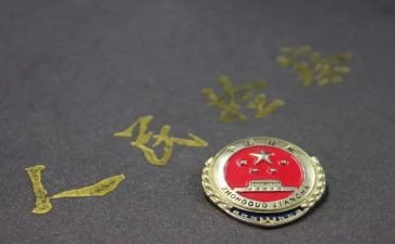 检察述职报告8篇