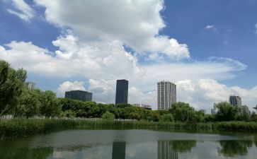 2024年江苏满分作文8篇