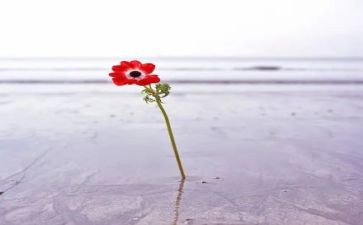 原来我也很坚强作文优秀8篇