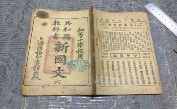 学校教科处工作总结模板8篇