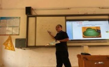 参加教研活动的心得体会6篇
