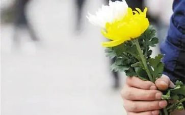 祭奠清明活动总结优秀6篇