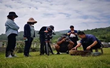 《中国纪录片》观后感通用6篇