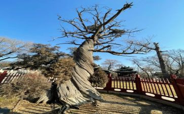 晋祠调研报告精选5篇