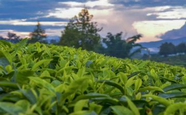 景阳冈读后读后感模板5篇