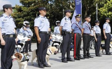 警察的述职报告推荐7篇