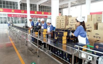 经发办工作计划6篇