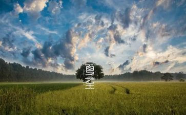 幼儿园24节气活动总结6篇