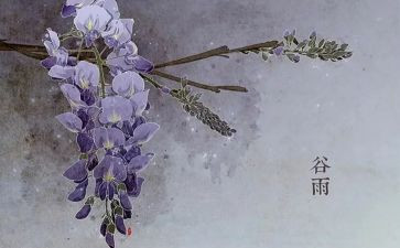 节气的作文优质7篇
