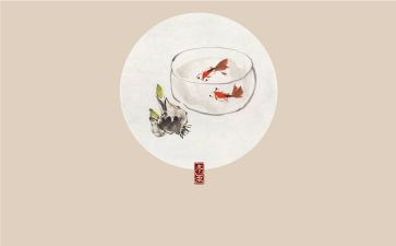 节气的作文最新6篇