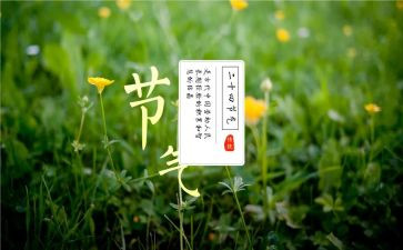 节气的作文模板8篇