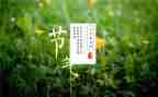 节气的作文模板8篇