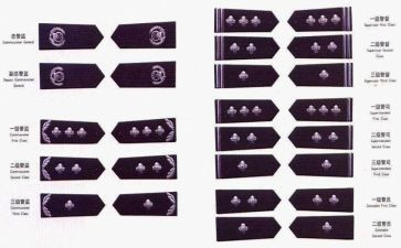 2024警衔晋升自我鉴定8篇