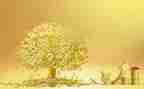 金融办调研报告6篇