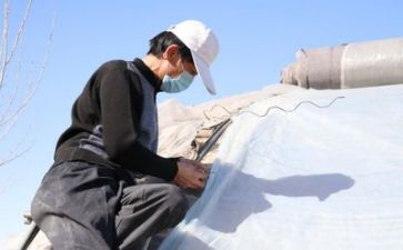 技术标述职报告6篇