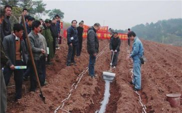 技术部的年终工作总结5篇