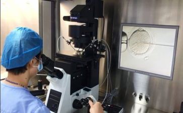 技术部年度工作计划5篇