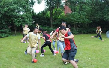 集体活动总结6篇