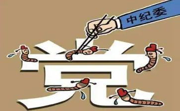 村纪委述职报告范文5篇
