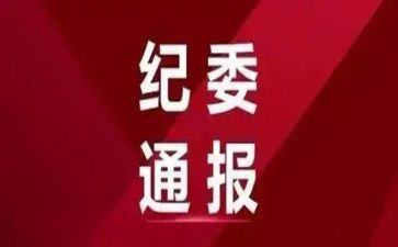 村纪委述职报告范文参考6篇
