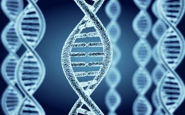 心得体会传承红色基因2022精选8篇