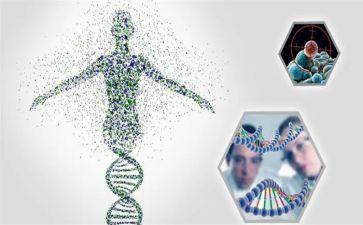 《自私的基因》读后感6篇