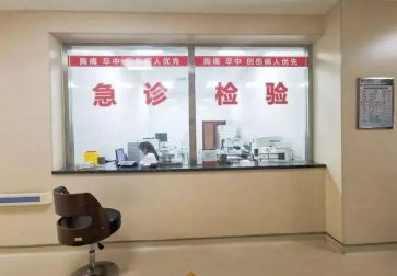 2022年急诊科护士述职报告6篇