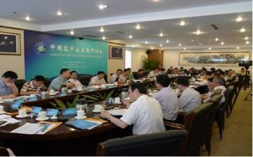 2022年副局长述职报告6篇