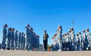 观军训心得体会500字最新8篇