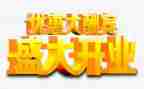 餐厅开业工作计划5篇