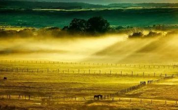 看见的读后感7篇