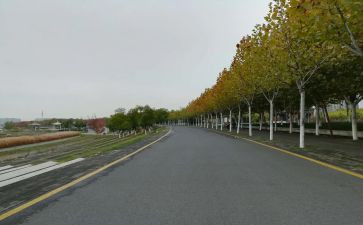 那一次我靠自己___作文6篇