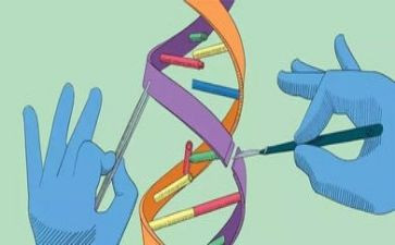 幼儿园大班沉与浮科学教案7篇