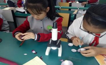 小学科学课教案模板6篇