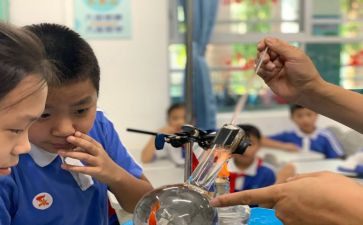 幼儿园科学课教案模板6篇