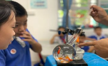 幼儿园科学课教案参考6篇