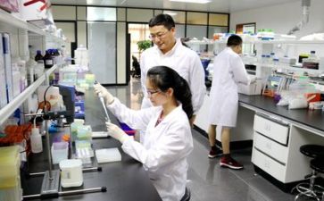 校科研总结报告参考7篇