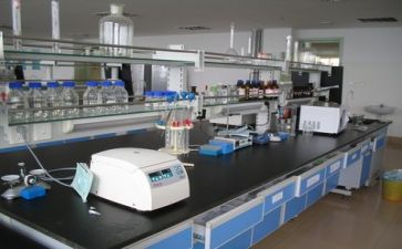 个人总结科研上5篇