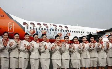 空乘实习心得8篇